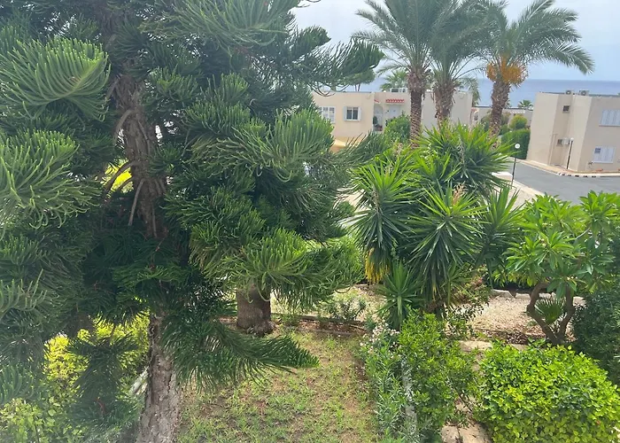 شقة Modern Seaview Townhouse In Coral Bay (adults Only) بييا